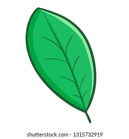 Cute and funny simple green leaf - vector