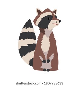 Cute Funny Sitting Raccoon, Lovely Wild Furry Forest Animal Cartoon Character Vector Illustration