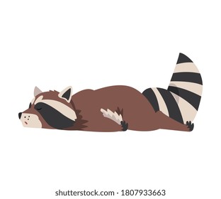 Cute Funny Sleeping Raccoon, Lovely Wild Forest Animal Cartoon Character Vector Illustration