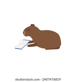 Cute, funny, smart capybara sitting and reading book. Vector illustration, isolated on white background. 