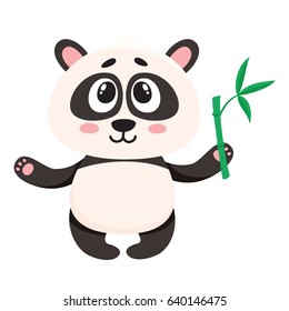 Cute and funny smiling baby panda character holding bamboo branch in paw, cartoon vector illustration isolated on white background. Cute little panda bear character, mascot with bamboo leaves