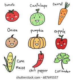 Cute and funny smiling fruit and vegetable icons such as tomato, cantaloupe, carrot, onion, pumpkin, apple, corn, chili pepper, coriander. Vector illustration with hand-drawn style.