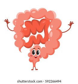 Cute and funny, smiling healthy bowel, intestine character, cartoon vector illustration isolated on white background.  