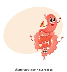 Cute and funny, smiling healthy stomach and bowel, intestine character, cartoon vector illustration with space for text. Healthy human intestine, bowel, colon character, human digestive system element