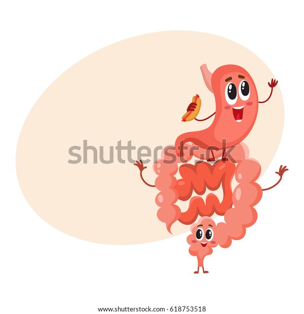 かわいくておかしく 笑顔の健康な胃と腸 腸の文字 テキスト用のスペースを持つ漫画のベクターイラスト 健康なヒトの腸 腸 結腸 ヒトの消化器系エレメント のベクター画像素材 ロイヤリティフリー