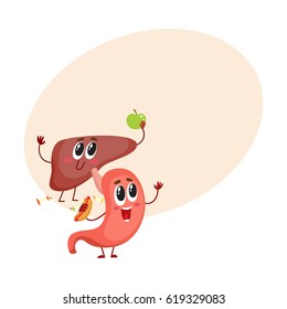 Cute and funny, smiling human stomach and liver characters, digestive organs, cartoon vector illustration with space for text. Healthy human stomach and liver characters, health care concept