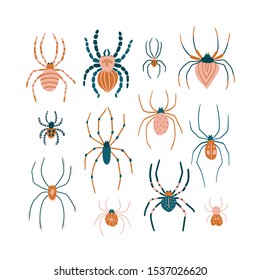 Cute and funny spiders isolated on the white background. Vector insect set.