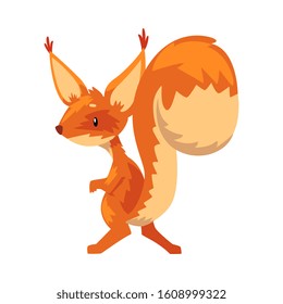 Cute Funny Squirrel, Amusement Little Orange Rodent Animal Cartoon Character Vector illustration