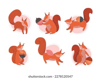 Cute funny squirrel set. Wild forest animal with fluffy tail holding acorn cartoon vector illustration