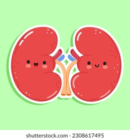 Cute funny sticker Kidneys organ character. Vector hand drawn cartoon kawaii character illustration icon. Isolated on green background. Happy Kidneys organ character concept