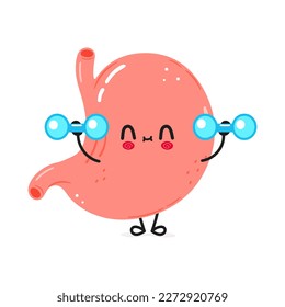 Cute funny stomach character with dumbbells. Vector hand drawn cartoon kawaii character illustration icon. Isolated on white background. Stomach character gym concept