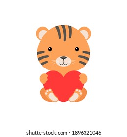 Cute funny tiger with heart on white background. Cartoon animal character for congratulation with St. Valentine day, greeting card, invitation, wall decor, sticker. Colorful vector stock illustration.