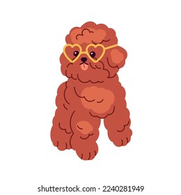 Cute funny Toy Poodle, little dog wearing heart glasses. Happy miniature doggy, amusing small puppy with tongue out. Pup with fluffy hair. Flat graphic vector illustration isolated on white background