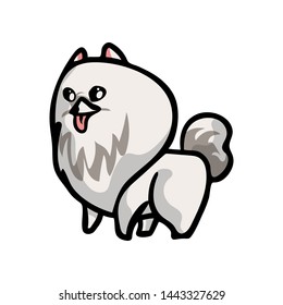 Cute funny white color spitz dog, waiting food