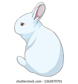 Cute and funny white rabbit in cartoon style