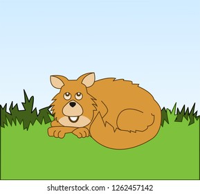 cute funny wolf fox sleeping in forest vector