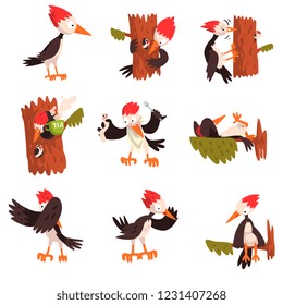 Cute funny woodpecker bird cartoon character in different situations set vector Illustration on a white background