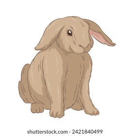 Cute fur rabbit concept. Sketch of forest dweller. Hand drawn art. Adorable bunny. Wildlife and fauna. Poster or banner. Cartoon flat vector illustration isolated on white backgroun