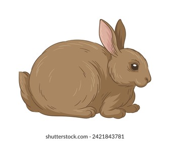 Cute fur rabbit concept. Sketch of forest dweller. Hand drawn art. Adorable bunny. Wildlife and fauna. Educational materials. Cartoon flat vector illustration isolated on white backgroun