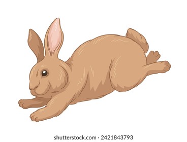 Cute fur rabbit concept. Sketch of forest dweller. Hand drawn art. Adorable brown bunny run. Wildlife and fauna, biology. Cartoon flat vector illustration isolated on white backgroun