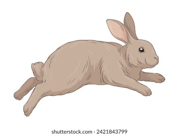 Cute fur rabbit concept. Sketch of forest dweller. Hand drawn art. Adorable bunny run. Wildlife and fauna. Social media sticker. Cartoon flat vector illustration isolated on white backgroun