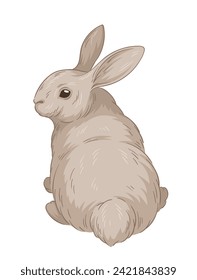 Cute fur rabbit concept. Sketch of forest dweller. Hand drawn art. Adorable grey bunny sitting back view. Wildlife and fauna. Cartoon flat vector illustration isolated on white backgroun