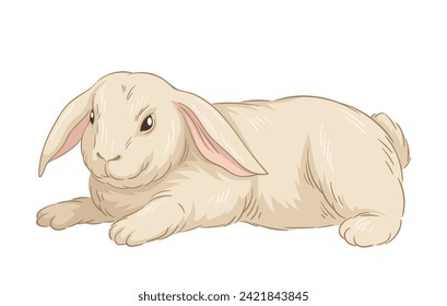 Cute fur rabbit concept. Sketch of forest dweller. Hand drawn art. Adorable white bunny. Wildlife and fauna. Banner or cover. Cartoon flat vector illustration isolated on white backgroun