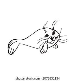 Cute fur seal illustration. Outline. Vector sketch illustration.