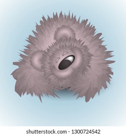cute fur Teddy bear. insulated toy