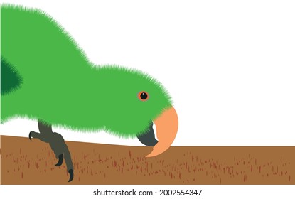 Cute furry green parrot.Vector illustration