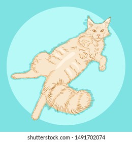 cute furry lying maine coon cat, beautiful wooly  isolated pet, for cards, prints, banners or veterinary  guide, editable vector illustration