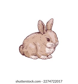 Cute and furry rabbit, hand drawn sketch vector illustration isolated on white background. Cheerful bunny drawing with retro engraving texture, great for kids designs.