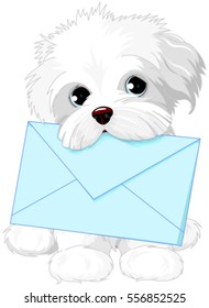 Cute fuzzy dog delivering mail envelope