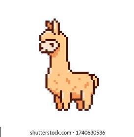 Cute game art pixel lama on white background