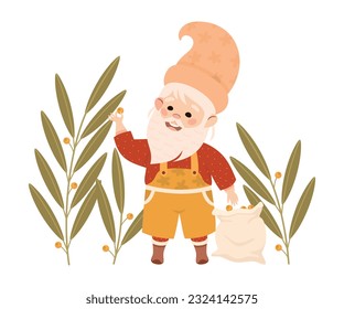 Cute garden bearded gnome picking berries. Joyful fairy tale dwarf elf harvesting in autumn cartoon vector illustration