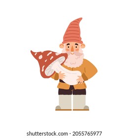 Cute garden gnome with beard and mustache holding mushroom, cartoon vector illustration isolated on white background. Fairy character in flat style.