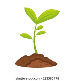 cute garden plants cultive