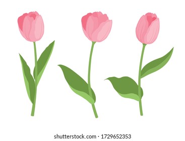 Cute garden tulip icons set. Cartoon set of cute garden tulip vector icons for web design