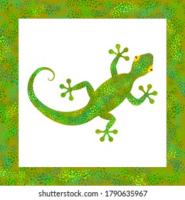 Cute gecko lizard with green scale textured skin, isolated on white, in textured frame