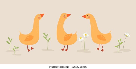 Cute geese in cartoon style.  Vector goose illustration