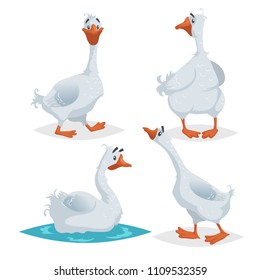 Cute geese in different poses. Cartoon flat style farm animals  birds collection. Walking, standing, swimming goose. Vector illustration isolated on white background.