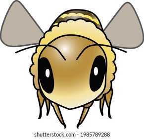 A Cute and Gentle Bee Flying Seen from the Front