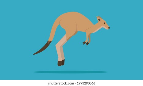 Canguro geométrico, animales abstractos