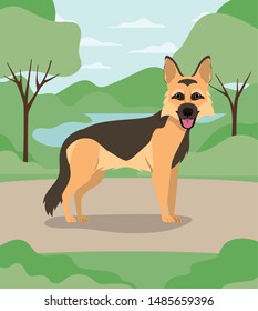 cute german shepherd dog pet in the camp