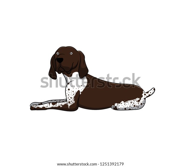 cartoon german shorthaired pointer