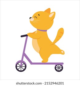 Cute Ginger Cat Character Riding Kick Scooter Vector Illustration