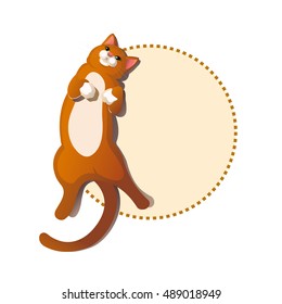 Cute ginger cat lying. Greeting card with frame. vector isolate on white background flat lay