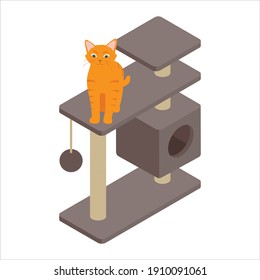Cute ginger cat playing on tree at home. Isolated on white background. Isometric view. Vector