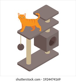 Cute ginger cat playing on tree at home. Isolated on white background. Isometric view. Vector
