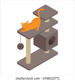 Cute ginger cat playing on tree at home. Isolated on white background. Isometric view. Vector